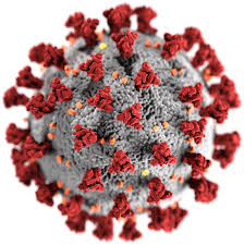 coronavirus 1